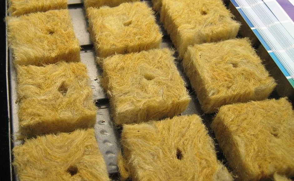 Cubos de lã mineral amarelos usados para plantação