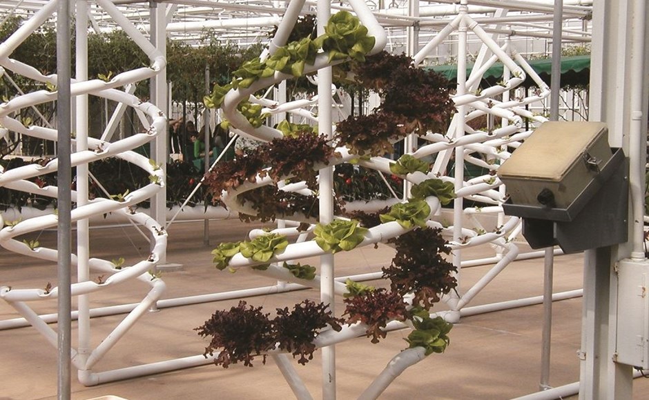 Estrutura de cultivo vertical com plantas verdes e vermelhas
