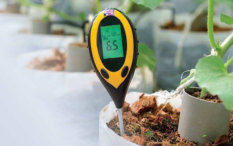 ph hidropon&iacute;a