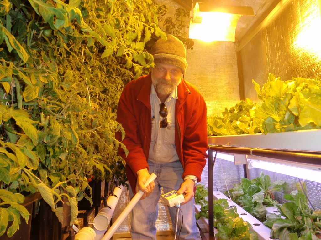 Homem a cuidar de plantas em ambiente interno com iluminação amarela