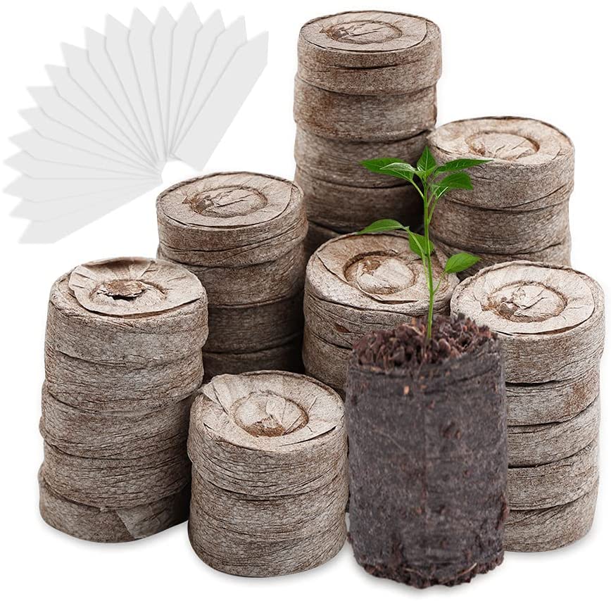 100 piezas de fibra de coco Discos de turfa empilhados com planta jovem em disco expandido