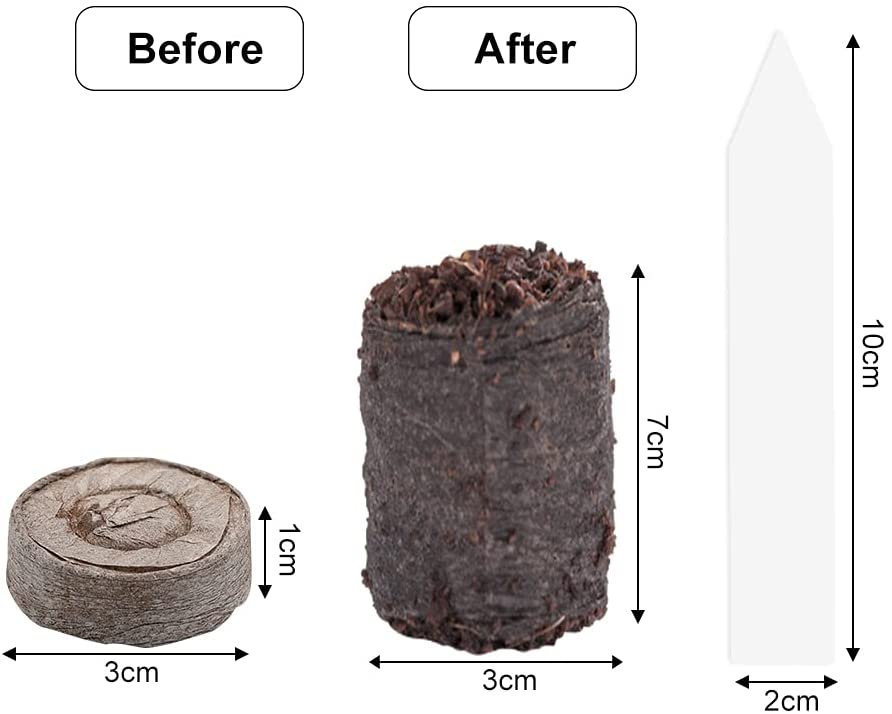 100 piezas de fibra de coco Comparação de bloco antes e depois com medidas de altura e diâmetro