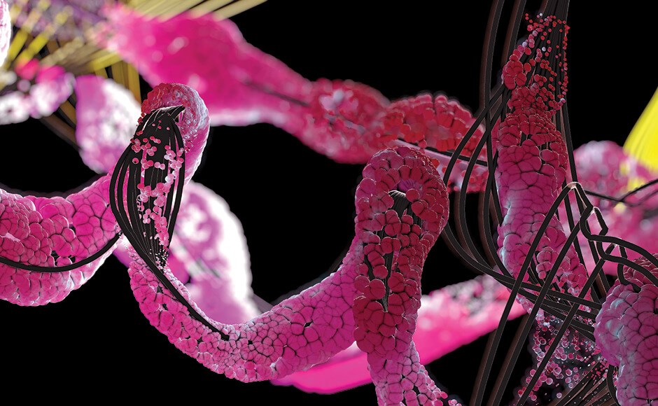 estrutura orgânica rosa e vermelha com elementos lineares pretos