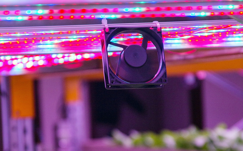 ventilar invernadero