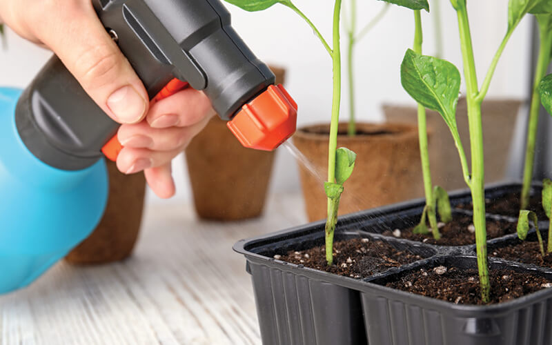 amino&aacute;cidos hidropon&iacute;a