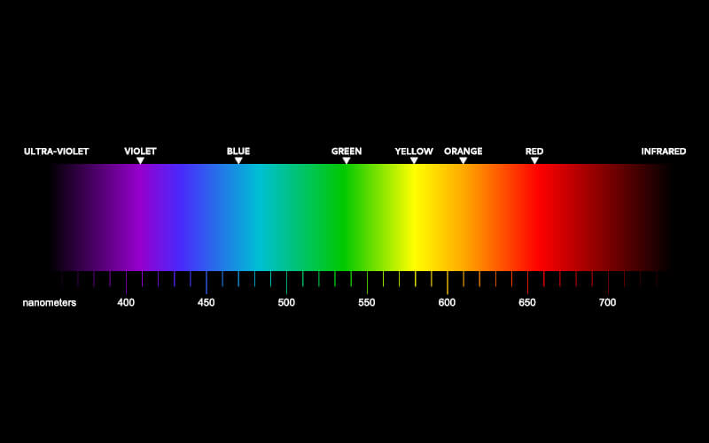  luz sobre la planta de cannabis