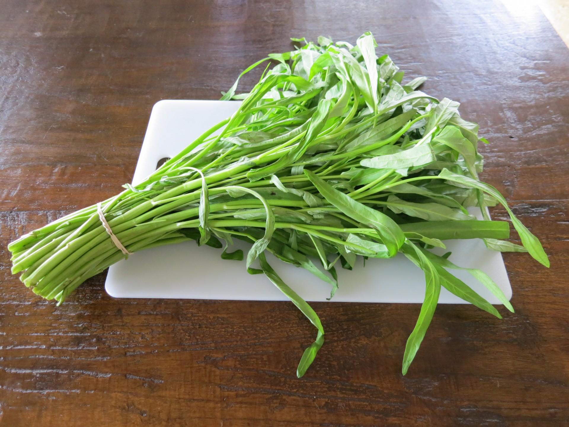 kangkong en cultivos hidrop&oacute;nicos