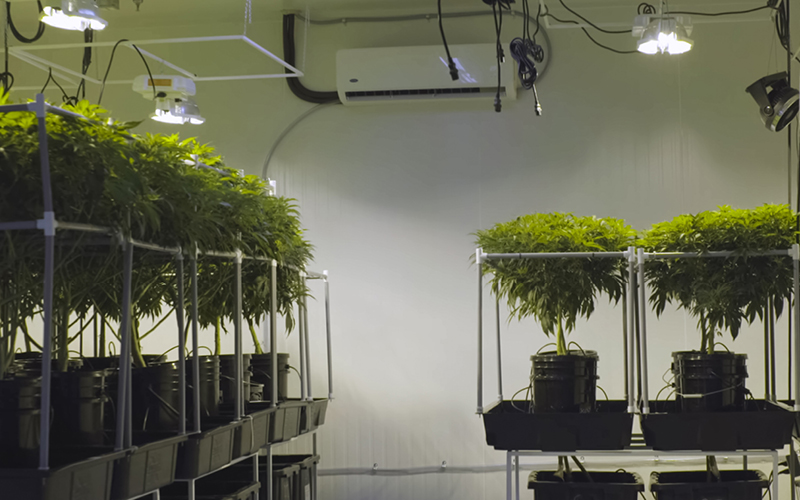 jarrones de plastico