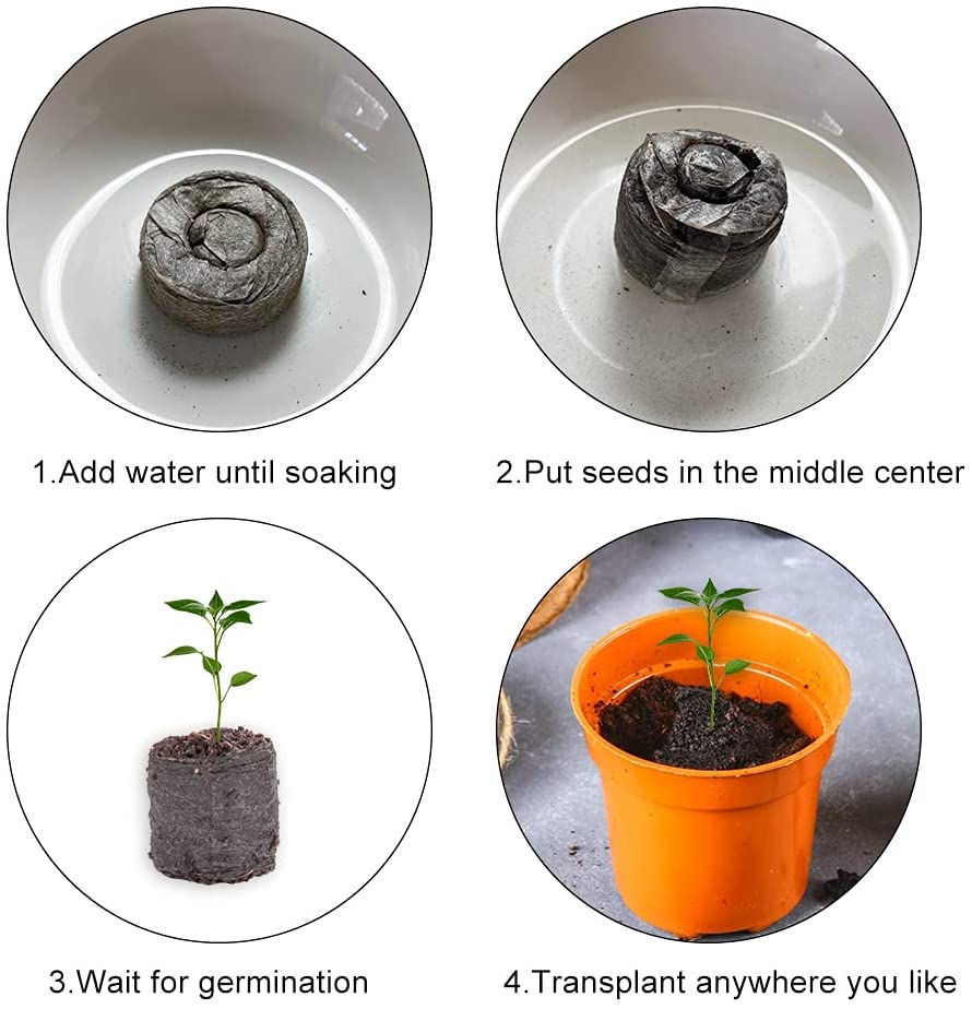 100 piezas de fibra de coco Processo de cultivo de plantas desde disco de turfa, germinação até transplante em vaso laranja