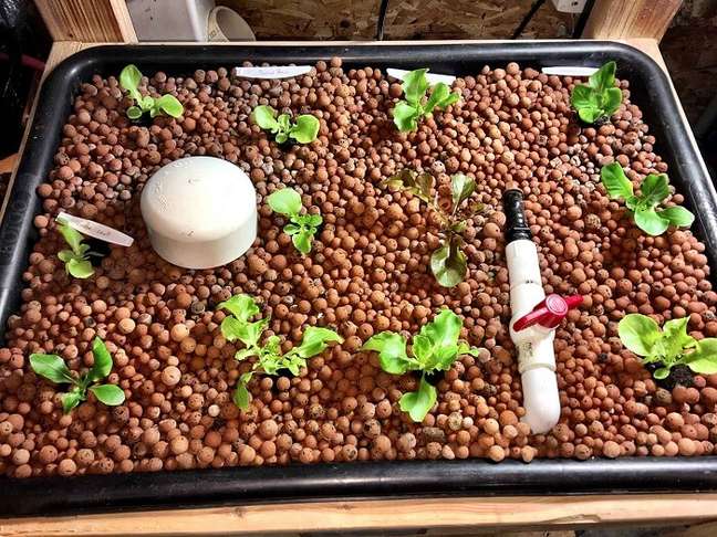 arcilla expandida hidropon&iacute;a