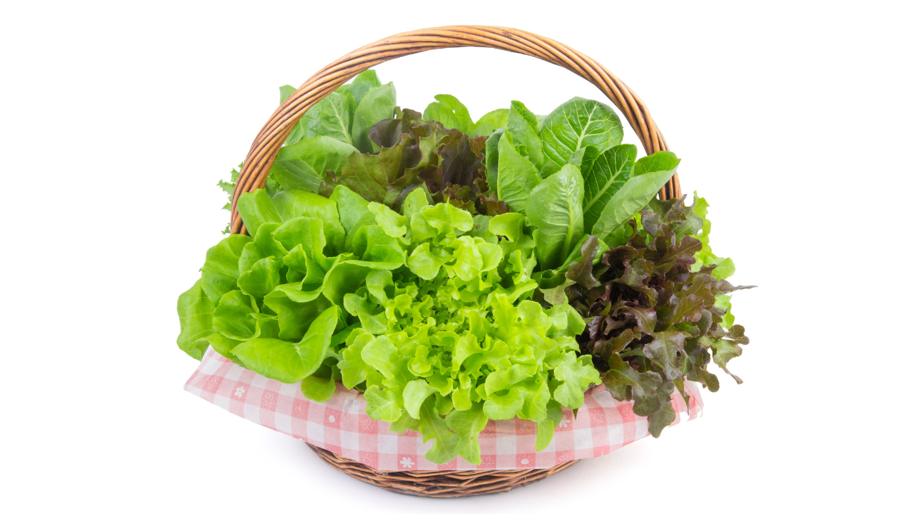 Cesto com alfaces frescas de várias cores e tipos, com pano rosa às riscas brancas