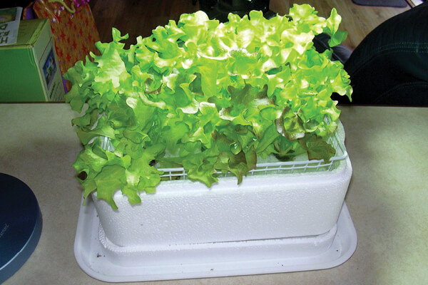 Sistemas floating y DFT