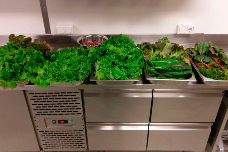 Cultivos hidrop&oacute;nicos Ant&aacute;rtida