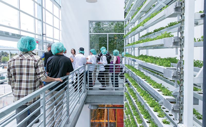 Pessoas a visitar estufa interior com prateleiras verticais de plantas verdes