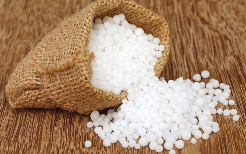 nutrientes orgânicos nutrientes orgánicos