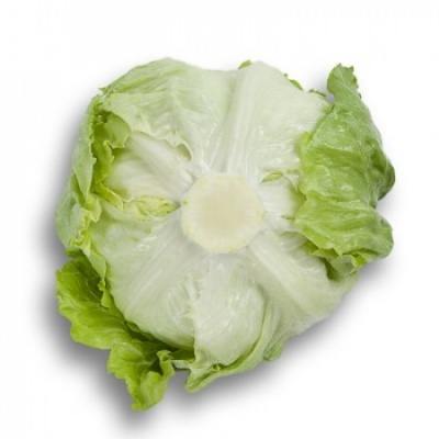 https://www.groho.es/product/lechuga-iceberg-peletizada-salmarinas