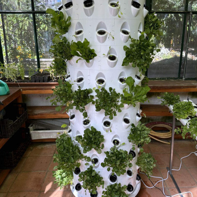 Coluna de cultivo vertical branca com plantas verdes num interior com janelas e pavimento de tijoleira