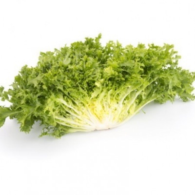 Alface frisada verde fresca em fundo branco