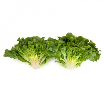 Duas cabeças de alface verde em fundo branco