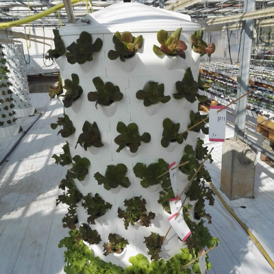 Torre hidropónica branca com plantas verdes e vermelhas numa estufa
