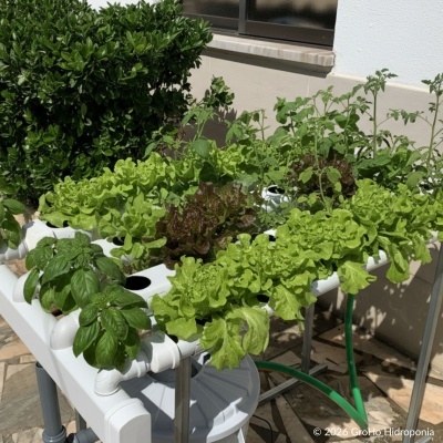 Sistema hidropónico con plantas verdes en tubos blancos al aire libre