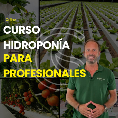 https://www.groho.es/product/curso-profesional-hidroponia