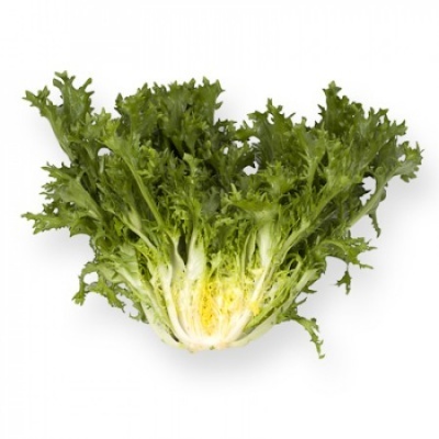 Cabeça de alface frisada verde