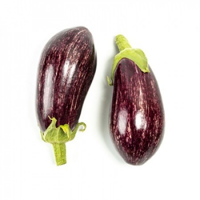 https://www.groho.es/product/semillas-hibridas-berenjena-leire