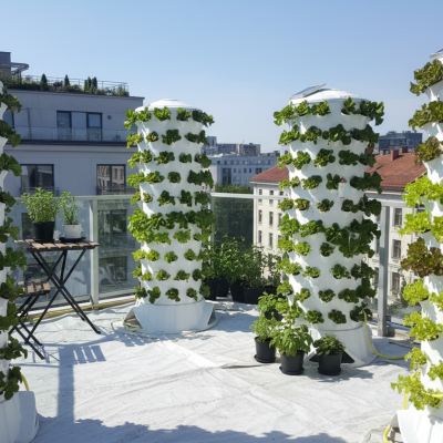 Torres verticales blancas con plantas verdes creciendo al aire libre en un balcón urbano