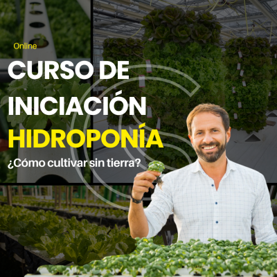 https://www.groho.es/product/curso-introduccion-hidroponia