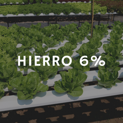 https://www.groho.es/product/1-kg-de-hierro