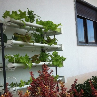 Sistema de cultivo hidropónico vertical com alfaces verdes e plantas vermelhas. 