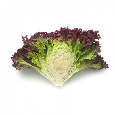 https://www.groho.es/product/lechuga-lollo-roja-peletizada-concorde