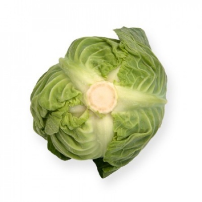 https://www.groho.es/product/semillas-hibridas-repollo