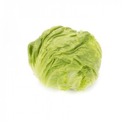 https://www.groho.es/product/lechuga-iceberg-peletizada