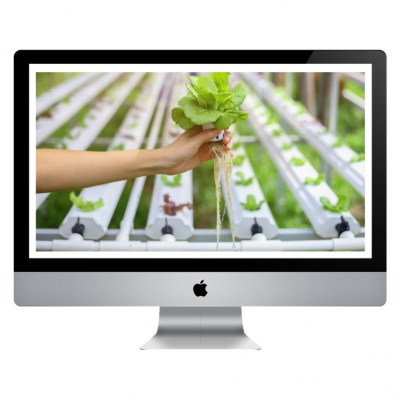https://www.groho.es/product/curso-online-solucion-nutritiva-hidroponia