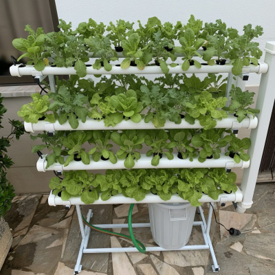 Sistema hidropónico con tuberías blancas y plantas verdes en soporte metálico blanco.