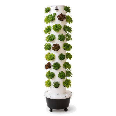 https://www.groho.es/product/torre-hidroponia-60plantas