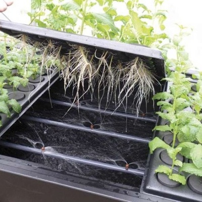 Sistema de cultivo hidropónico com plantas em bandejas pretas e raízes visíveis