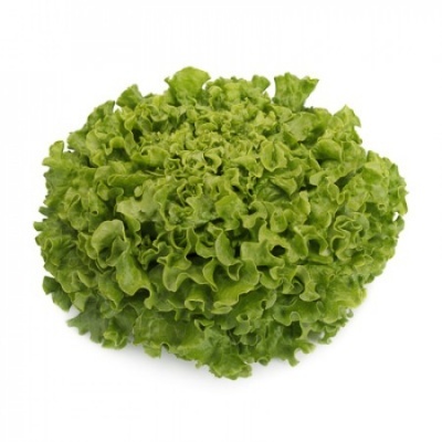 Cabeça de alface verde com folhas onduladas