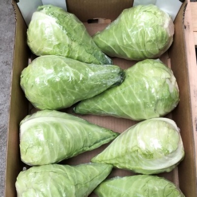 Repolhos verdes embalados em película dentro de caixa de cartão