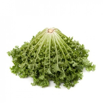 Alface verde fresca vista de cima