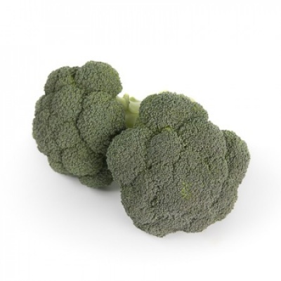 Dois brócolos frescos verdes sobre fundo branco