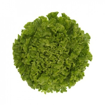 https://www.groho.es/product/lechuga-batavia-verde-alision
