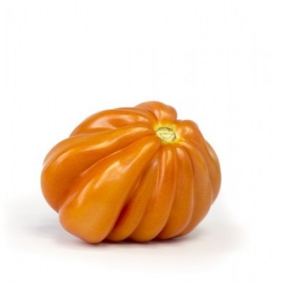 https://www.groho.es/product/semillas-hibridas-tomate-corazon-de-buey-rugantino