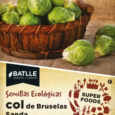 https://www.groho.es/product/col-de-bruselas