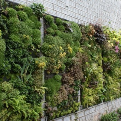 Parede vertical com plantas variadas e musgo em parede de tijolo branco