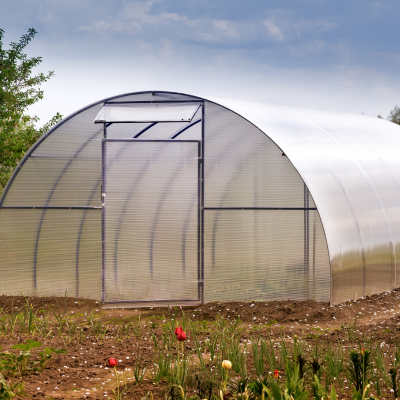 Estufa metálica com painel plástico transparente em campo com flores