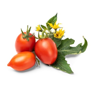 três tomates vermelhos com folhas verdes e flores amarelas