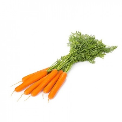 Maço de cenouras frescas com folhas verdes sobre fundo branco